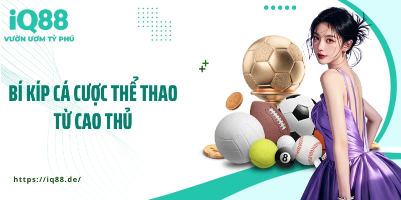 bi-kip-ca-cuoc-the-thao-tu-cao-thu
