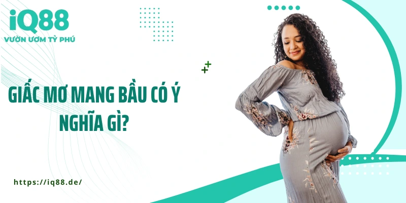 giac-mo-mang-bau-co-y-nghia-gi