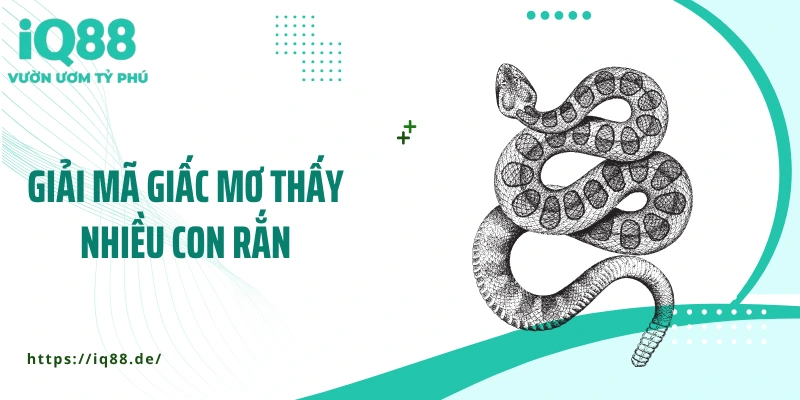 giai-ma-giac-mo-thay-nhieu-con-ran