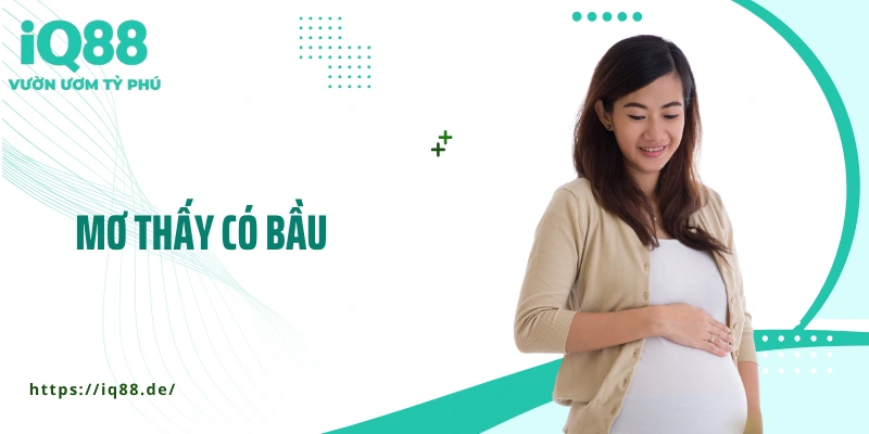 mo-thay-co-bau-thumb