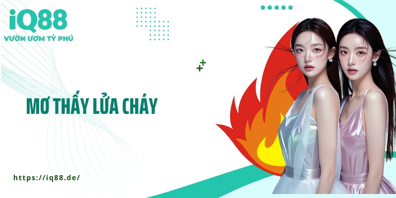 mo-thay-lua-chay-thumb