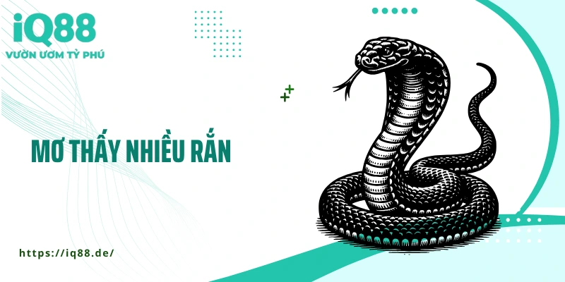 mo-thay-nhieu-ran-thumb