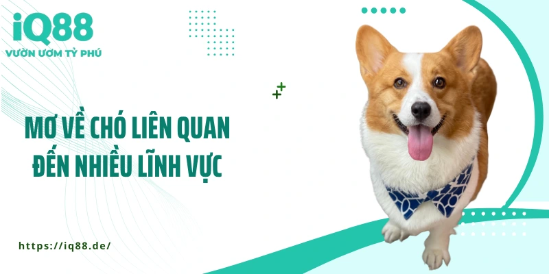 mo-ve-cho-lien-quan-den-nhieu-linh-vuc
