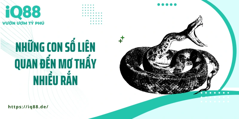 nhung-con-so-lien-quan-den-mo-thay-nhieu-ran