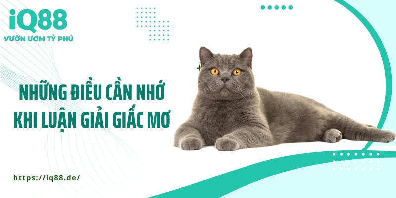 nhung-dieu-can-nho-khi-luan-giai-giac-mo