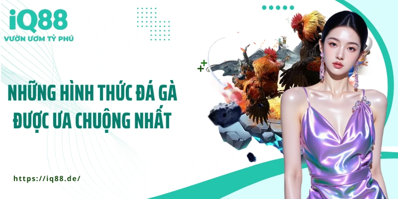 nhung-hinh-thuc-choi-da-ga-duoc-ua-chuong-nhat