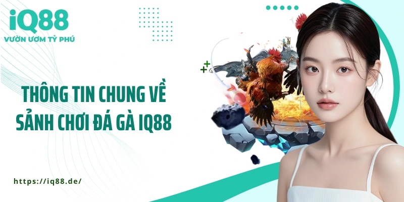 thong-tin-chung-ve-sanh-choi-da-ga-iq88