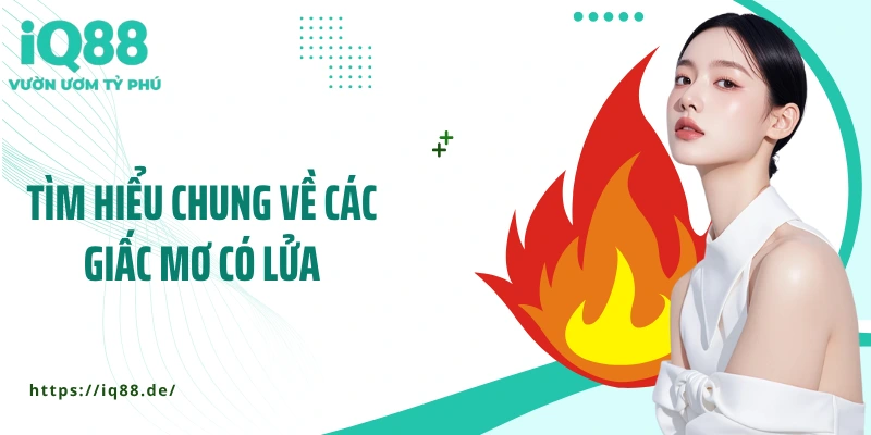 tim-hieu-chung-ve-cac-giac-mo-co-lua